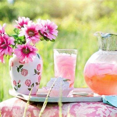 狐仙情缘破解版下载